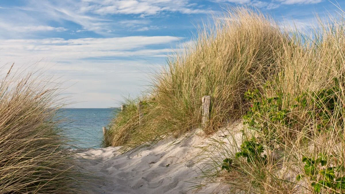 Strand Renesse